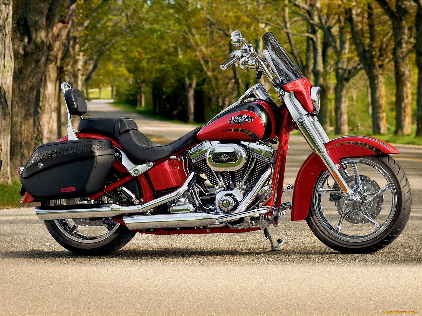 , harley, davidson